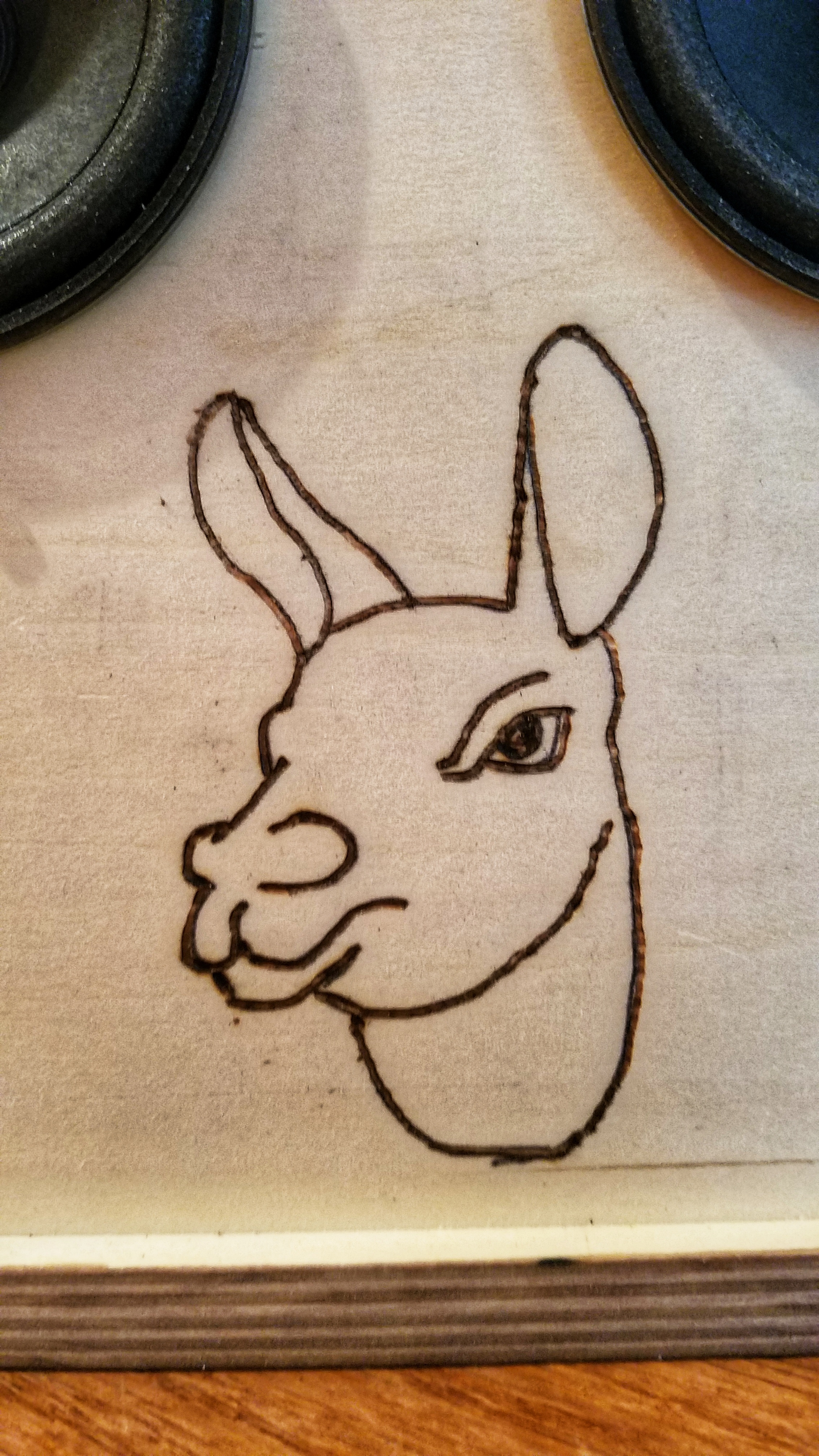 Got a bit of woodburning practice by drawing my logo