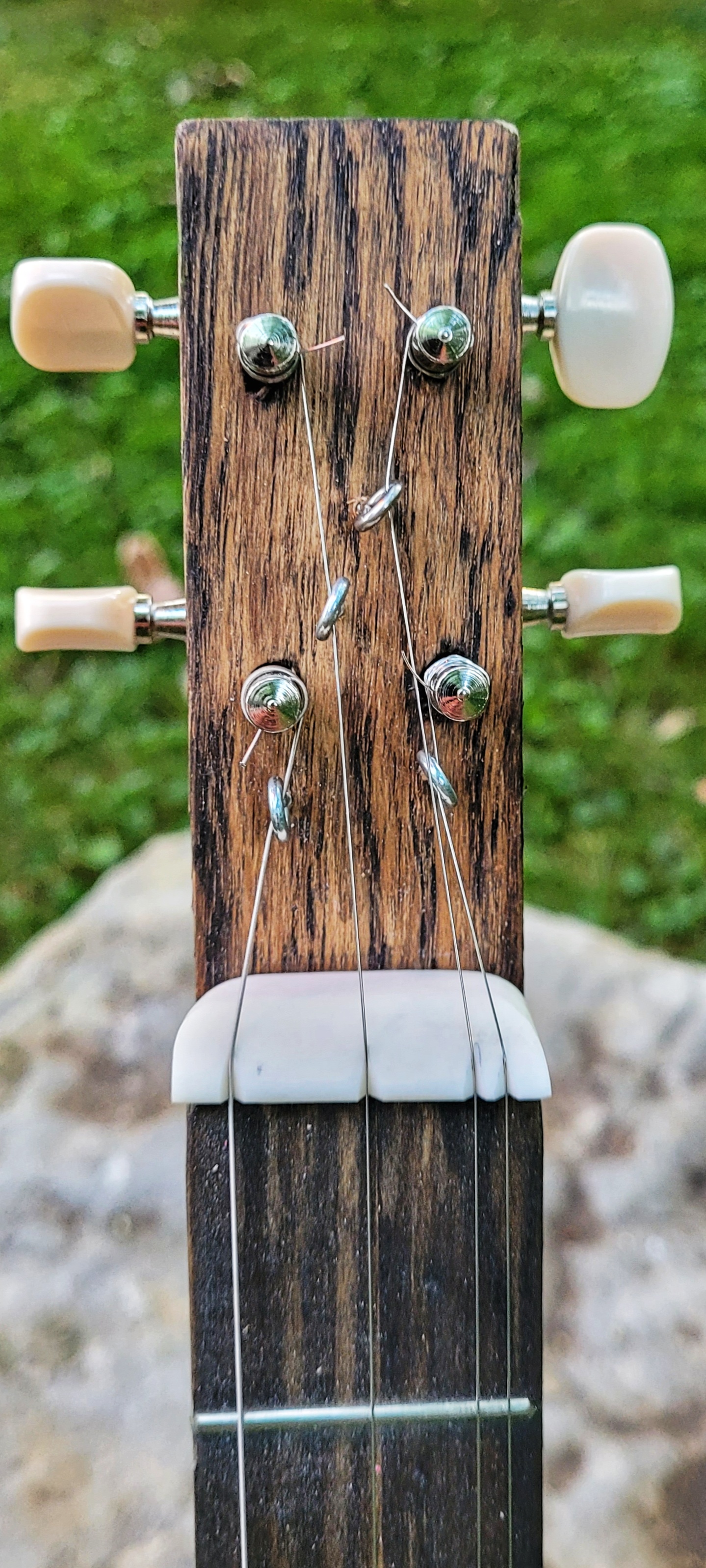 Bone nut carved from a dog chewing bone