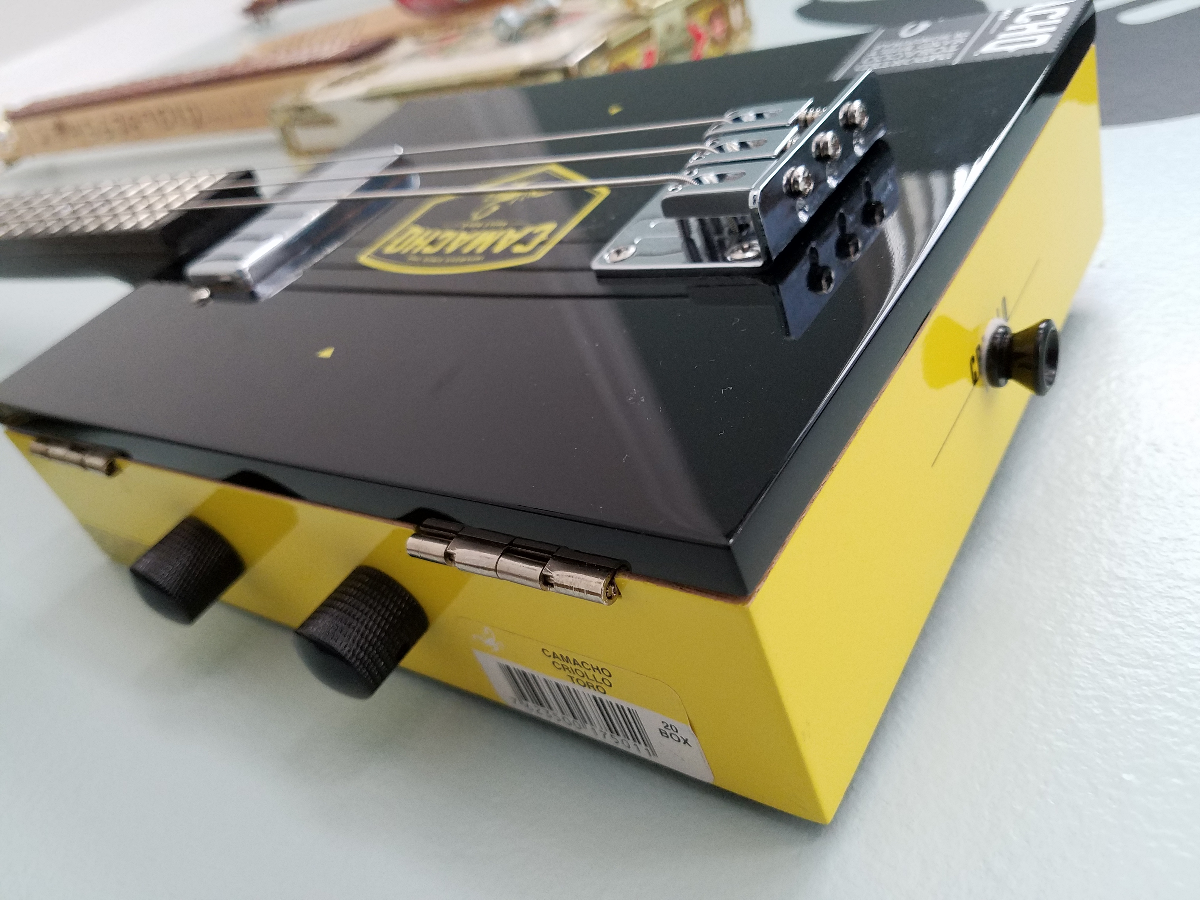 Tone and volume pots