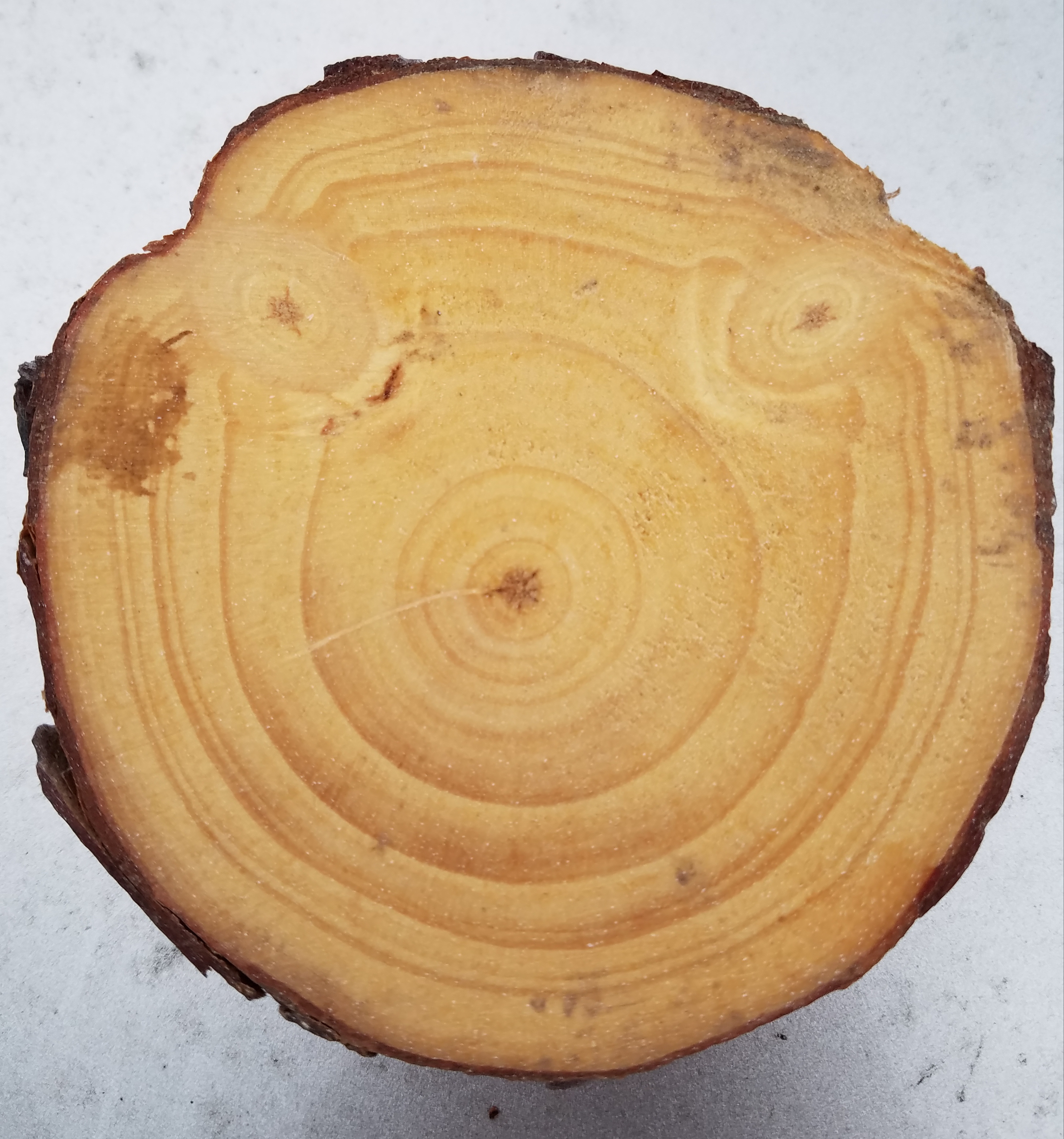 Does that look like a face to you?