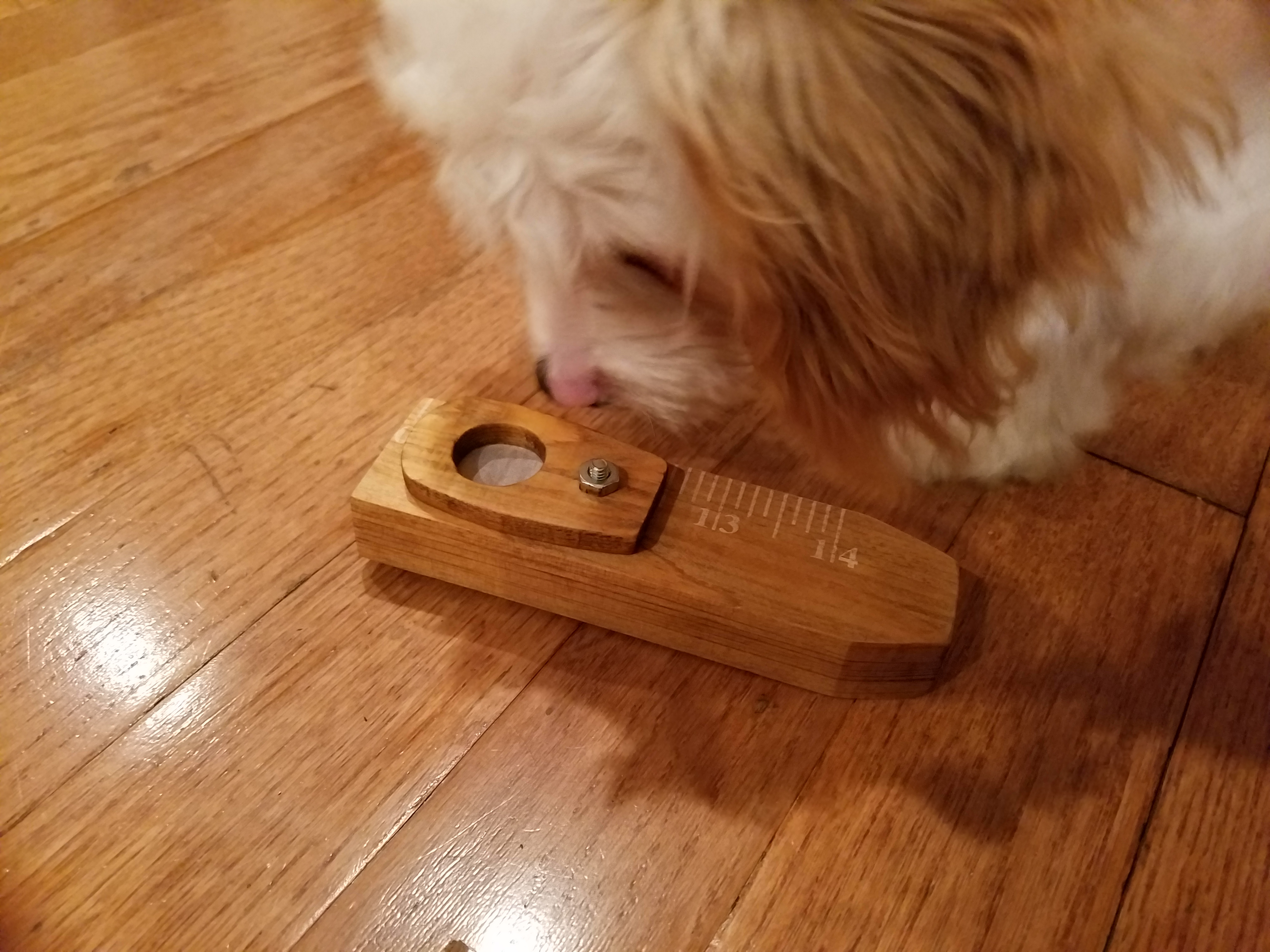 Jingles tried to play it but couldn’t quite get the hang of it