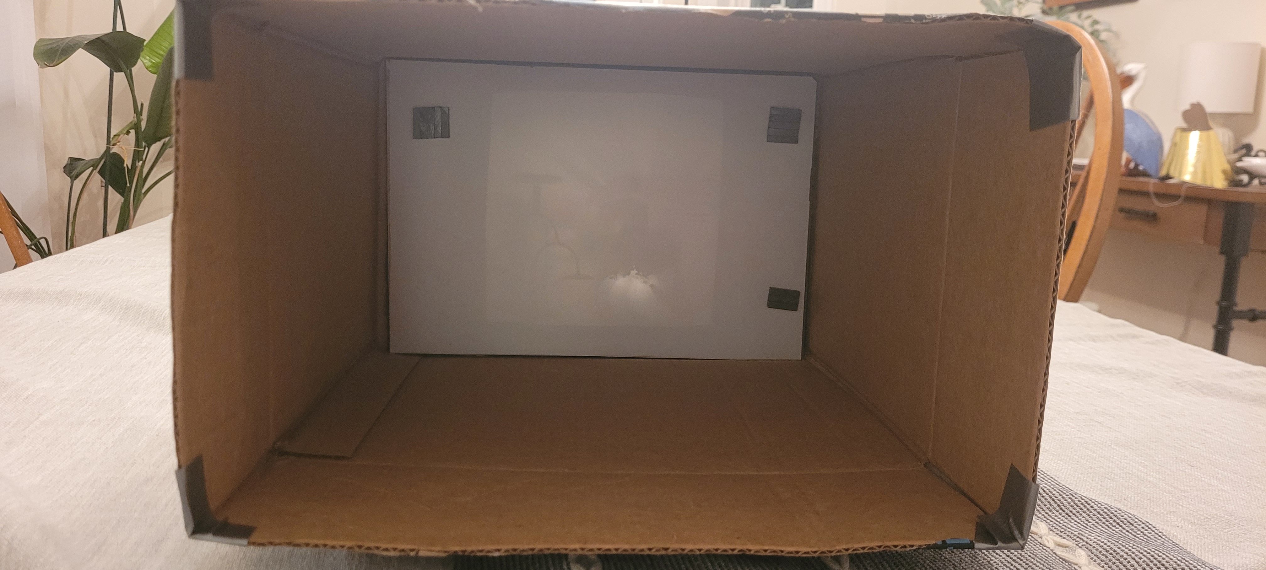 You can kindof see an image on the parchment paper. The less light in the box the better the image will come out