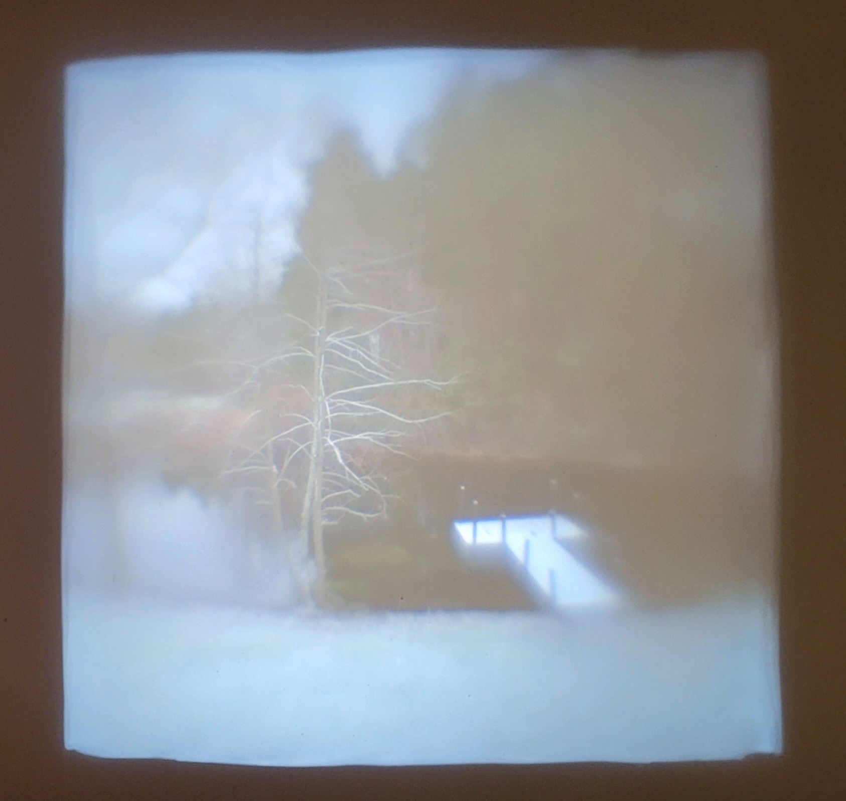 The dock in our pond