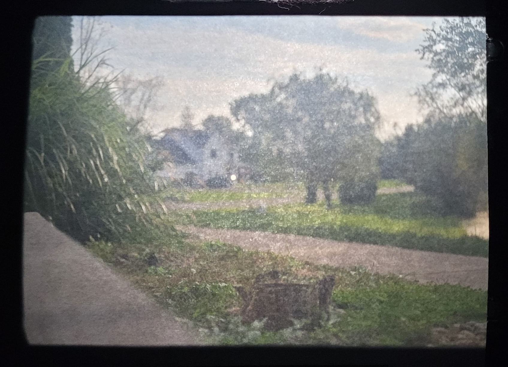 A house in my neighborhood