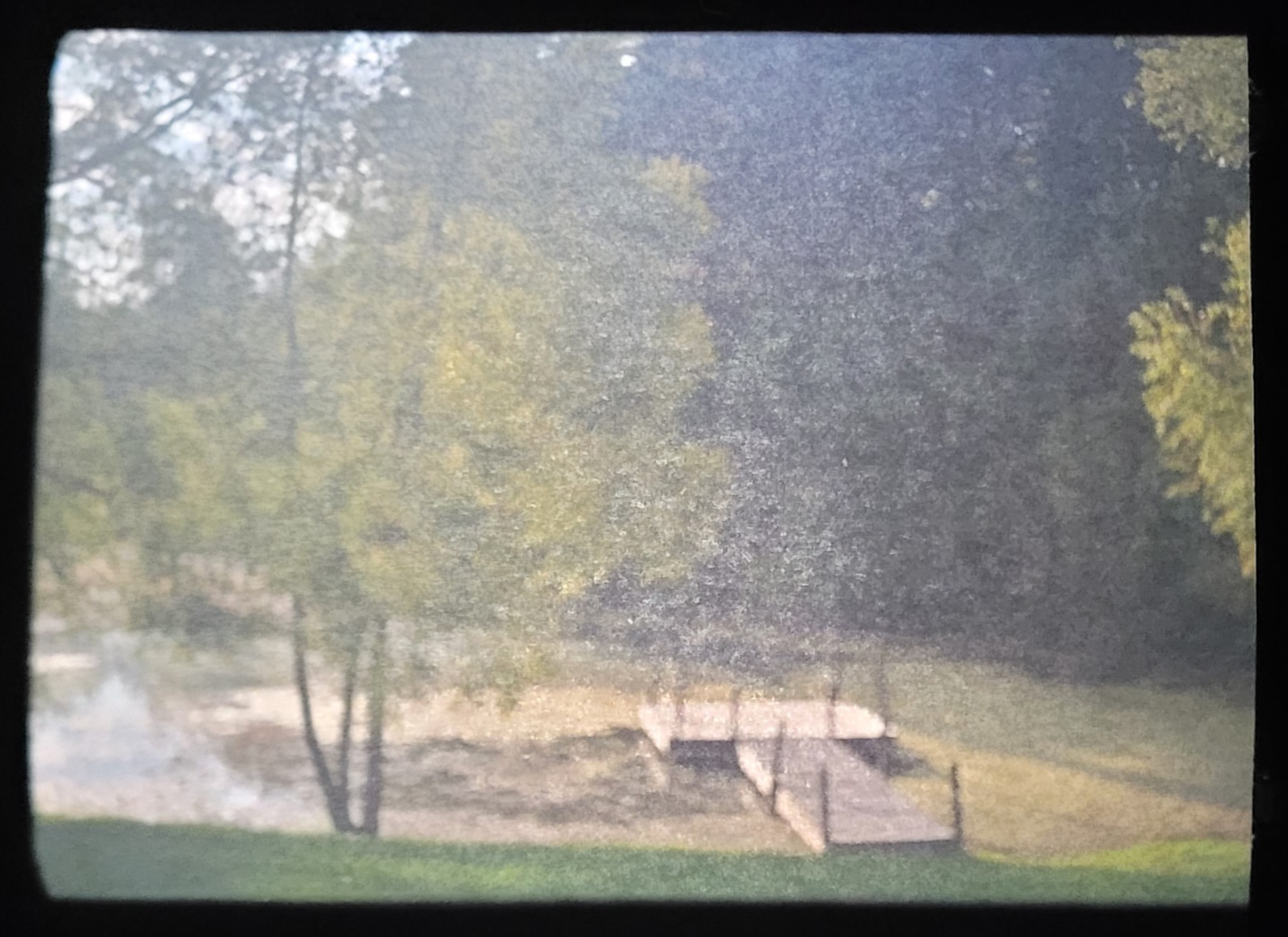 The dock in our pond